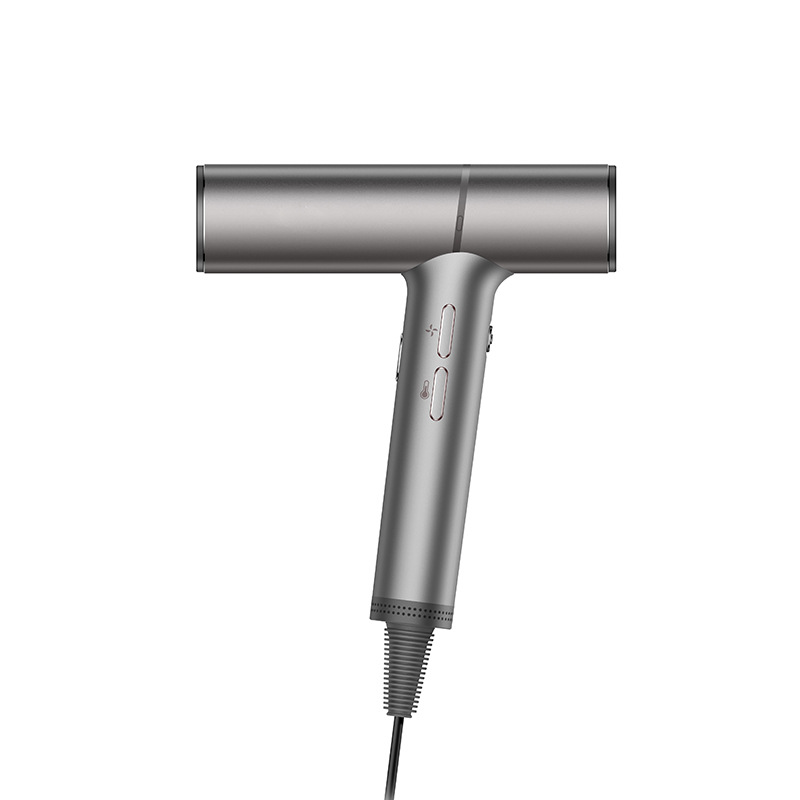 Professional High Power Hair Dryer with Constant Temperature Negative Ion Technology and High Speed 