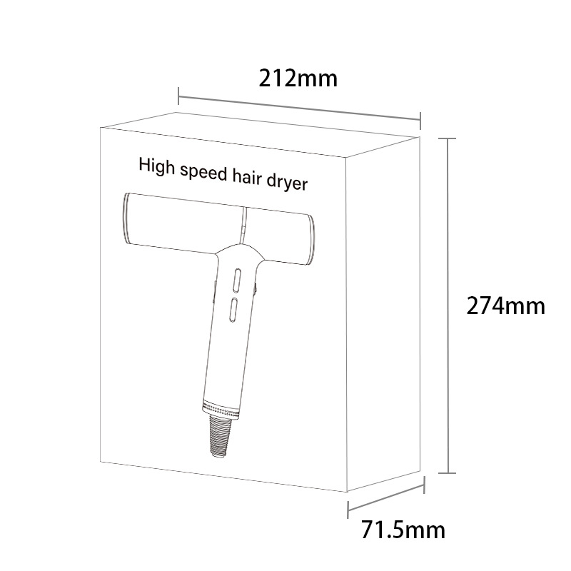 Professional High Power Hair Dryer with Constant Temperature Negative Ion Technology and High Speed 